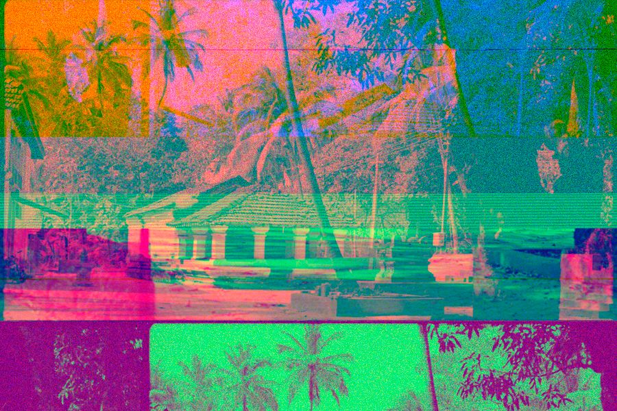 AI photo colorizer analyzing image areas for realistic colorization